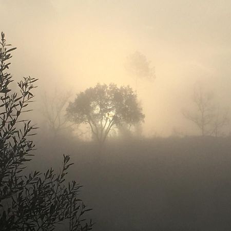 Quinta Do Sobral De Sao Geraldo Villa Bagian luar foto