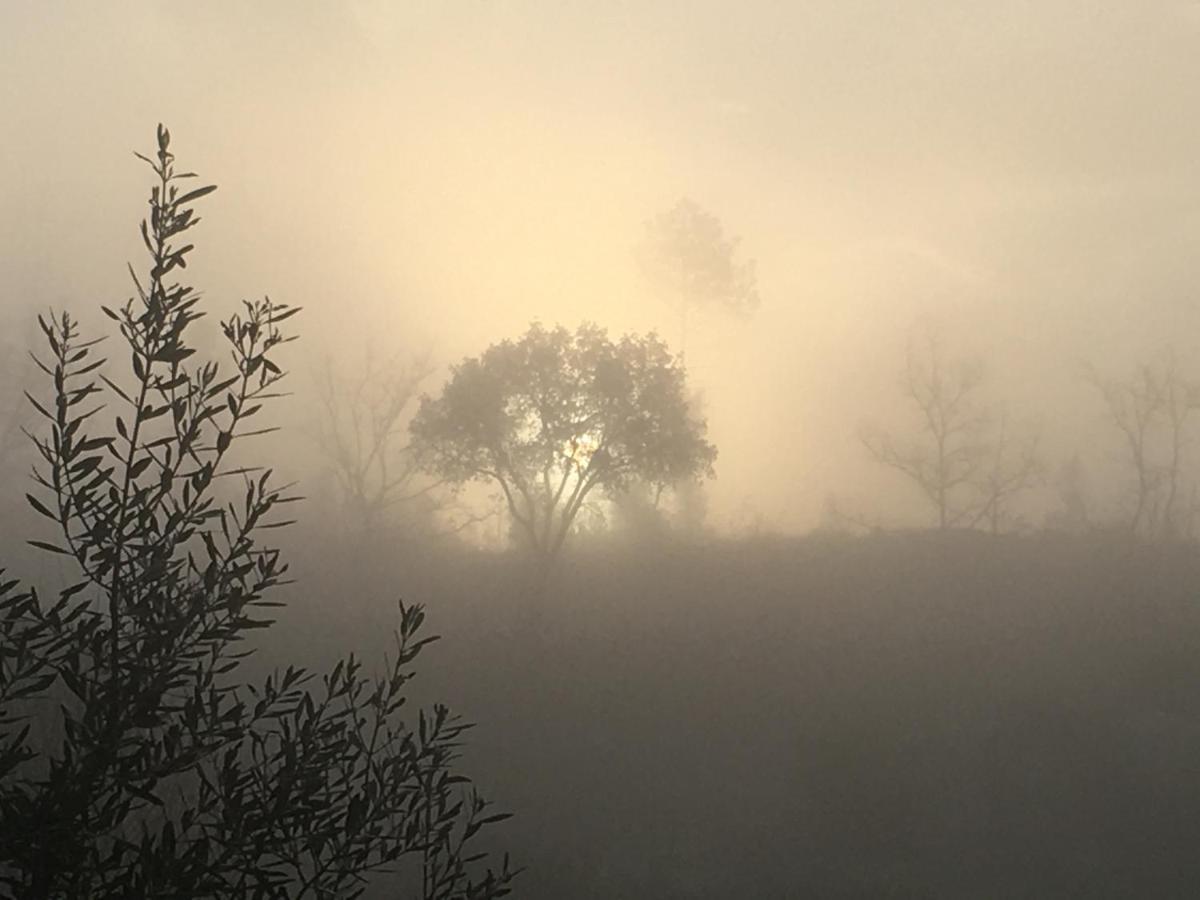 Quinta Do Sobral De Sao Geraldo Villa Bagian luar foto